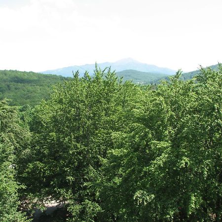 Apartment Vito Plitvička Jezera Esterno foto