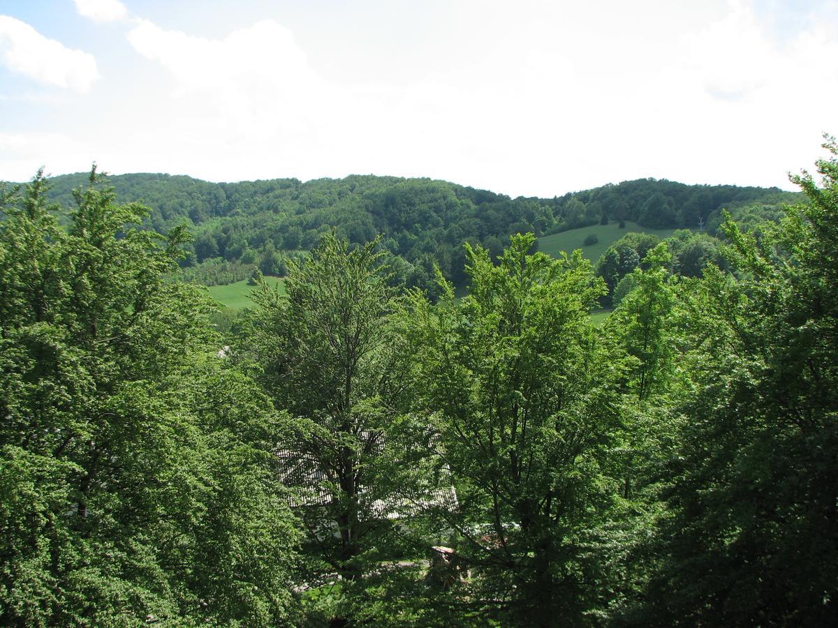 Apartment Vito Plitvička Jezera Esterno foto
